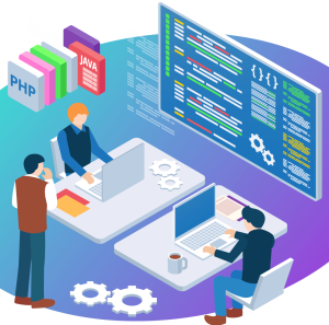 IT Consultant Team